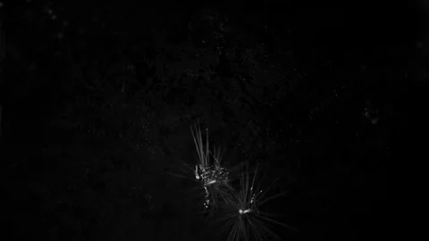 Real 4K ink drops flowing in water Stock Footage 74716010