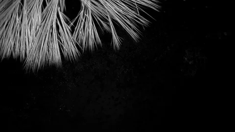 Real 4K ink drops flowing in water Stock Footage 74716184