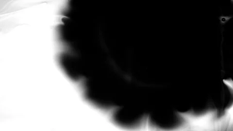 Real 4K ink drops flowing in water Stock Footage 74723387
