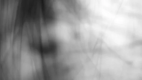 Real 4K ink drops flowing in water Stock Footage 74724324