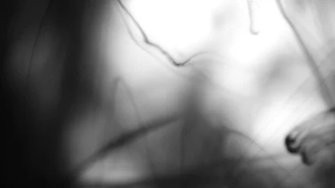 Real 4K ink drops flowing in water Stock Footage 74724554