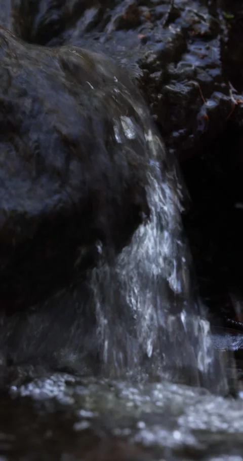 Real Authentic Spring Stream Waterfall Macro Side Static Shot No People Stock Footage 331297335