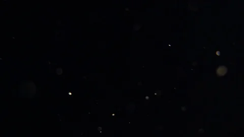 Real backlit natural floating dust particles moving over black background Stock Footage 92528663