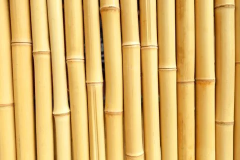 Real Bamboo Background Texture Stock Photos