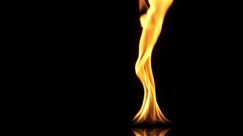 Real beautiful fire on a black background . Flames on a black background. Copy Vídeo Stock 125894452
