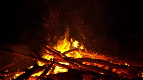 Real big fire on nature Vídeo Stock 77488446
