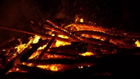 Real big fire on nature Stock Footage 77489083