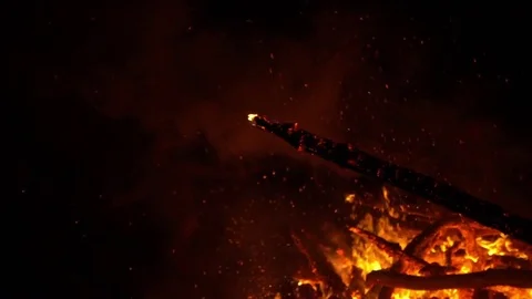 Real big fire on nature Stock Footage 77489450