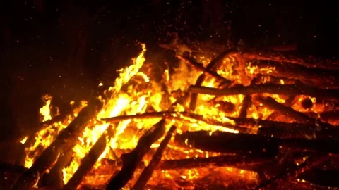 Real big fire on nature Stock Footage 77489870