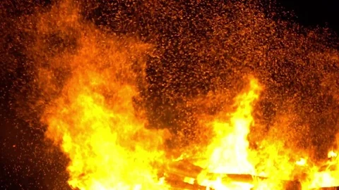 Real big fire on nature Stock Footage 77490258