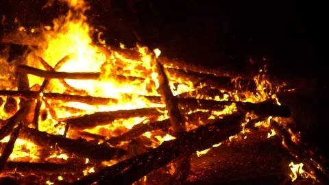 Real big fire on nature Stock Footage 77490309