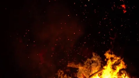 Real big fire on nature Stock Footage 77490669