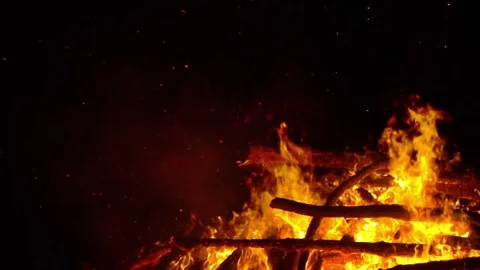 Real big fire on nature Stock Footage 77491573