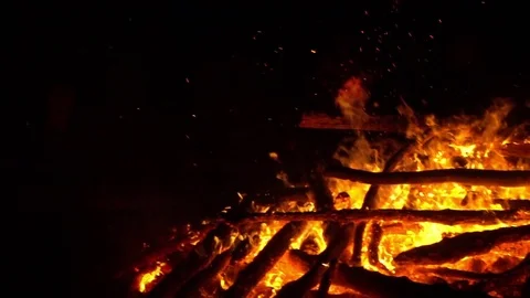 Real big fire on nature Stock Footage 77491634