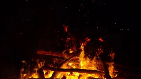Real big fire on nature Stock Footage 77491770