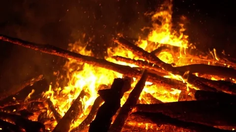 Real big fire on nature Stock Footage 77492672