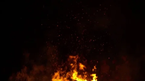 Real big fire on nature Stock Footage 77492990