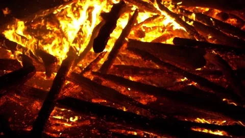 Real big fire on nature Stock Footage 77493231