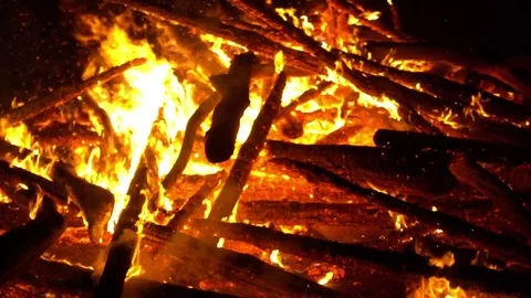Real big fire on nature Stock Footage 77493346