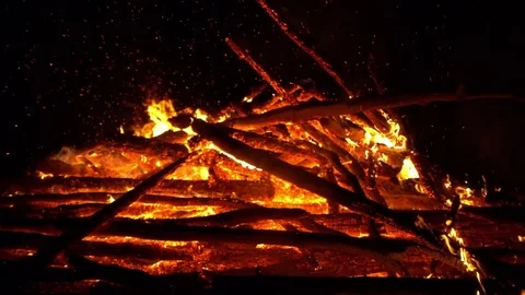 Real big fire on nature Stock Footage 77494056
