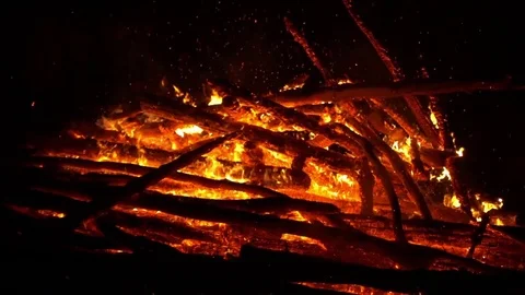 Real big fire on nature Stock Footage 77494197