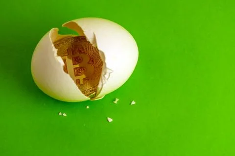 A real bitcoin coin inside a broken egg. Eggshell and cryptocurrency on a gre Stock Photos