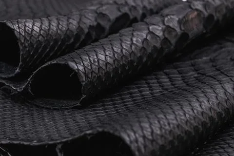 Real black snakeskin python leather. 写真素材