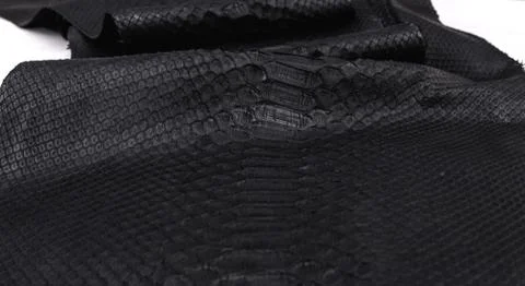 Real black snakeskin python leather. Fotos de archivo