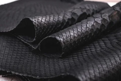 Real black snakeskin python leather. 스톡 사진