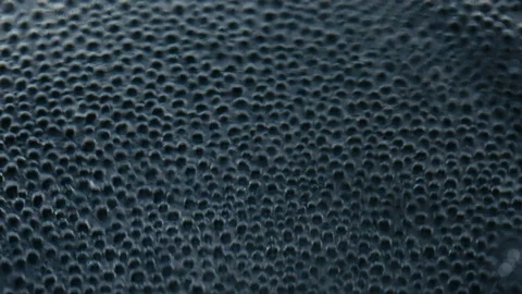 Real blue bubble on black background Stock Footage 94960045