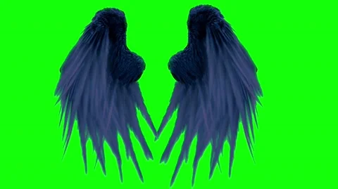 Real blue devil  feather wings fantasy  on a green screen background Stock Footage 140663145