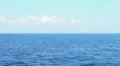 real blue tranquil ocean HD видео футажи