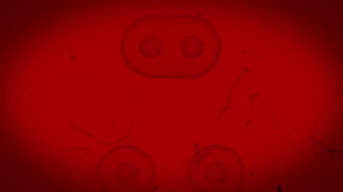 Real Cell Division Microscope provides an immersive journey into the microscopic Stock Footage 348530866