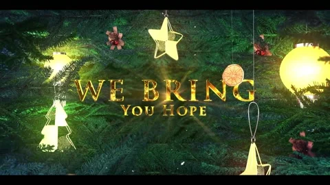 Real Christmas Footage Titles Stock After Effects