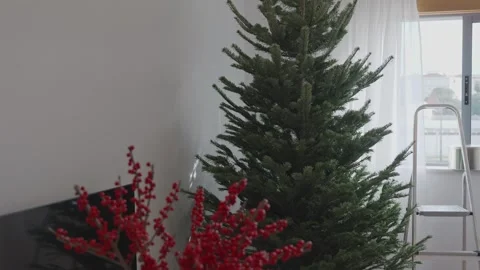 Real Christmas tree standing in bright modern living room interior, 4K Stock Footage 323967422