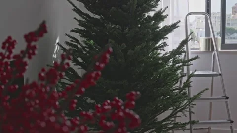 Real Christmas tree standing in bright modern living room interior, 4K Stock Footage 323967432