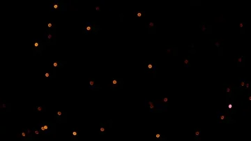 Real Colorful firework with many effect Video stock 85631942