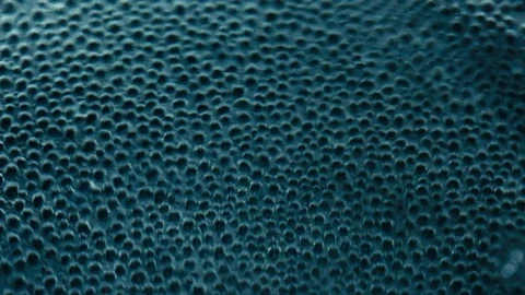 Real cyan bubble on black background, azure Stock Footage 94960047