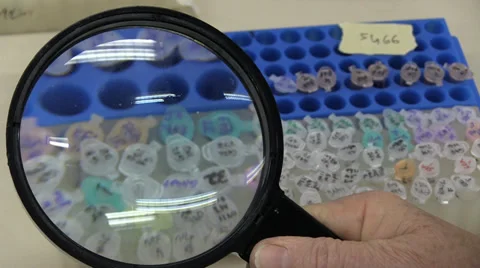 Real DNA lab work 06 Stock Footage 34606460