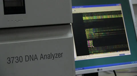 Real DNA lab work 07 Stock Footage 34602806
