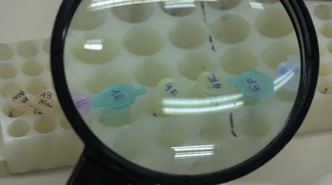 Real DNA lab work 09 Stock Footage 34595797