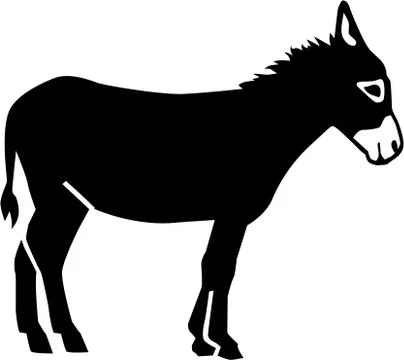 Real Donkey Illustrazione stock