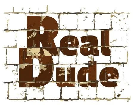 Real Dude printed on stylized brick wall. Textured inscription. Vector Stock Illustration