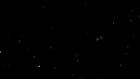 Real dust particles floating in the air. Organic warm dust particles Macro Slow Video stock 170911231