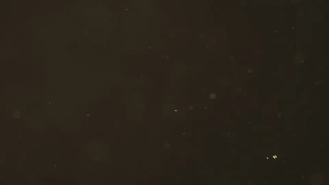real dust particles floating over black ... | Stock Video | Pond5