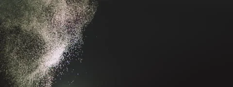 Real Dust Particles 스톡 동영상 250446760