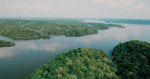 Real Estate Development Stock Footage 320336056