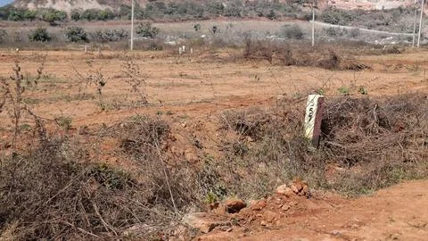 Real Estate Plot Boundary Stone Marker on Vacant Land in India 写真素材