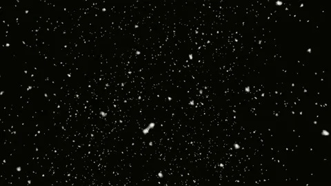 Real falling snow on a black background Stock Footage 163135665
