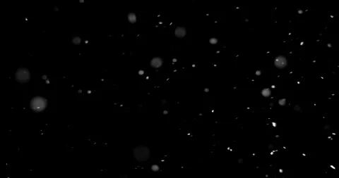 Real falling snow flakes winter overlay, Slowly falling snow effect 動画素材 169784181